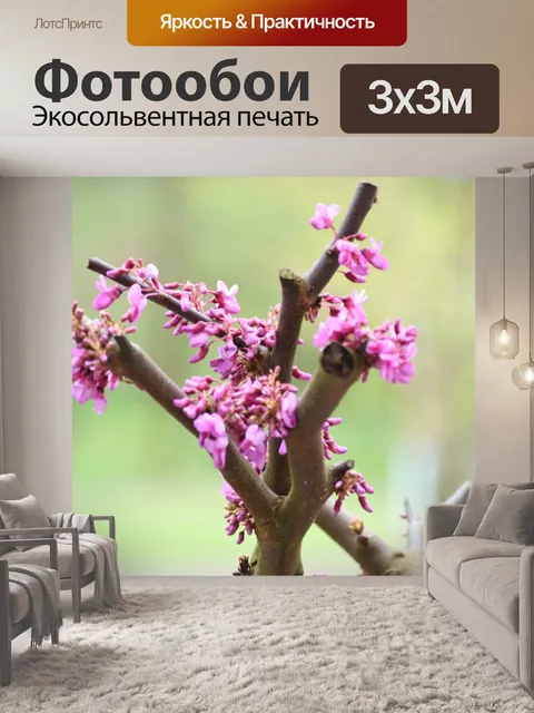 Фотообои Весна