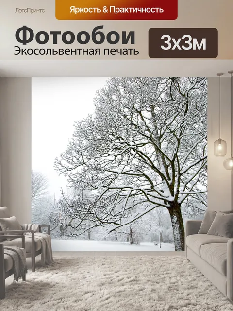 Фотообои Деревья без листьев