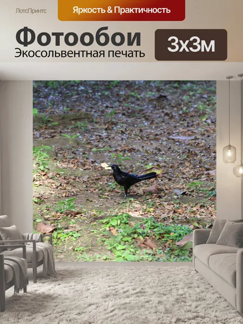 Фотообои Взломщик Черных Птиц
