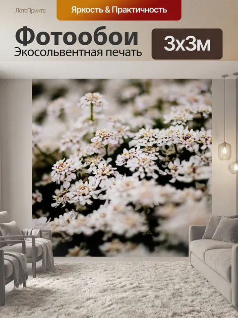 Фотообои Белый