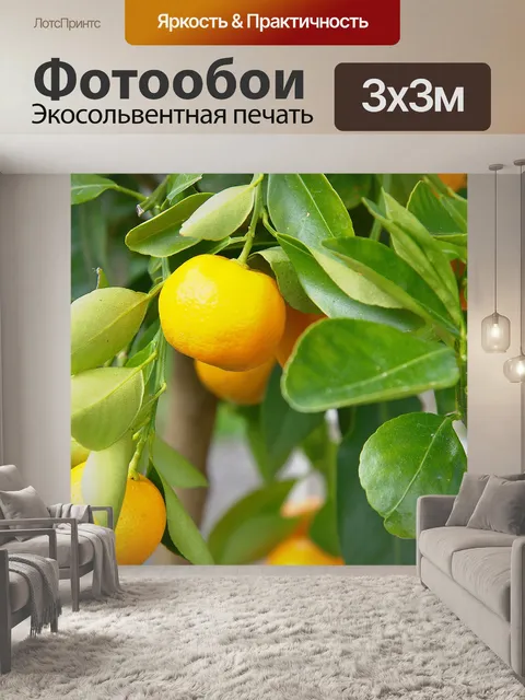 Фотообои Средиземноморье