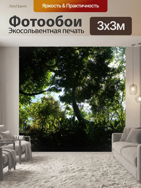 Фотообои Джунгли