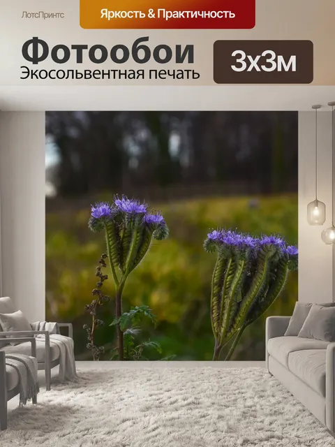 Фотообои Пейзаж
