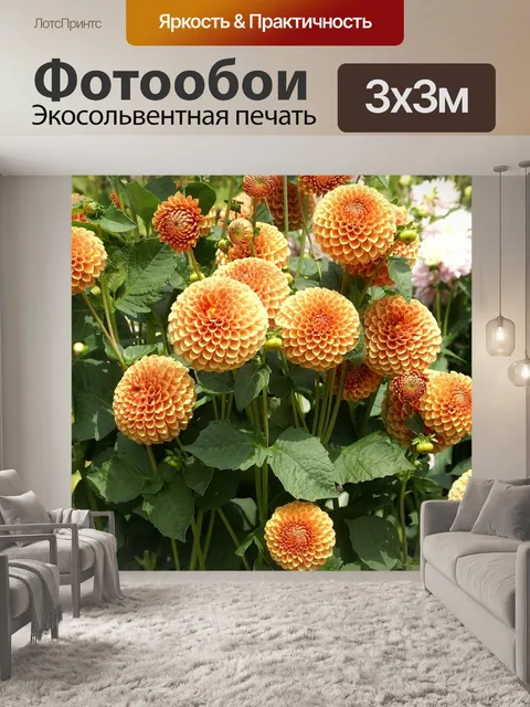 Фотообои Цветок