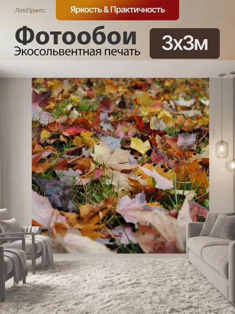 Фотообои Листья на земле