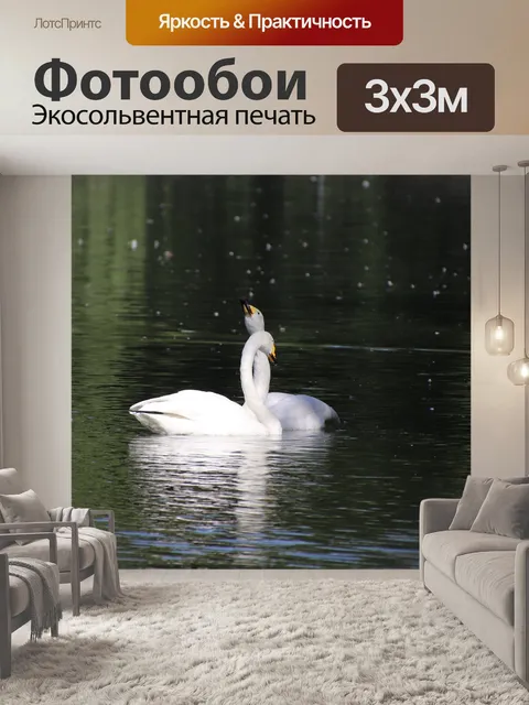 Фотообои Лебеди