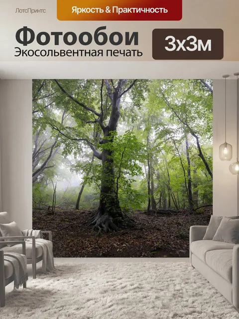 Фотообои Лес