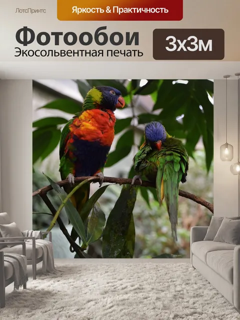 Фотообои Попугаи