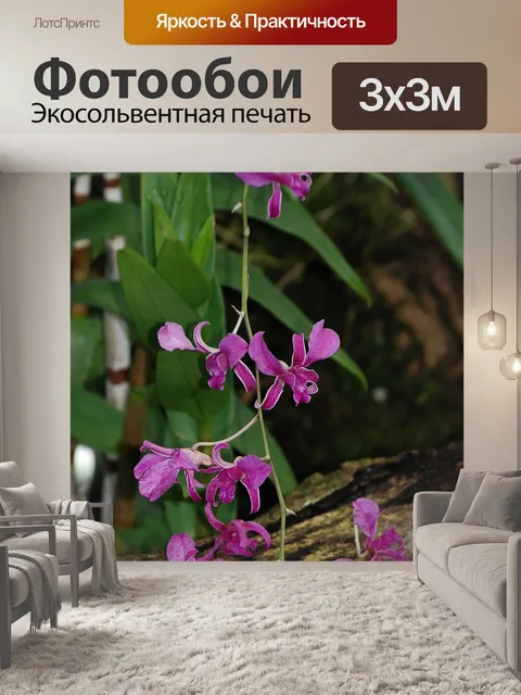 Фотообои Орхидея