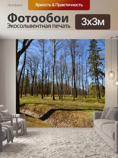 Фотообои Лес