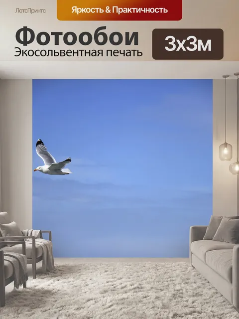 Фотообои Птицы