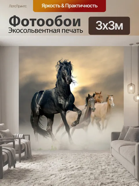 Фотообои Черная лошадь