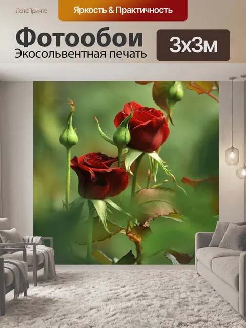 Фотообои Розы