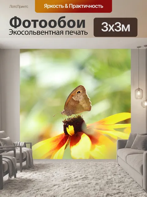 Фотообои Бабочка