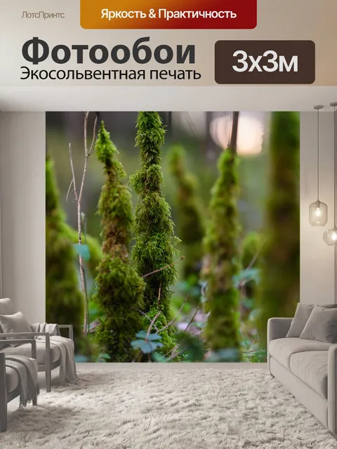 Фотообои Лес