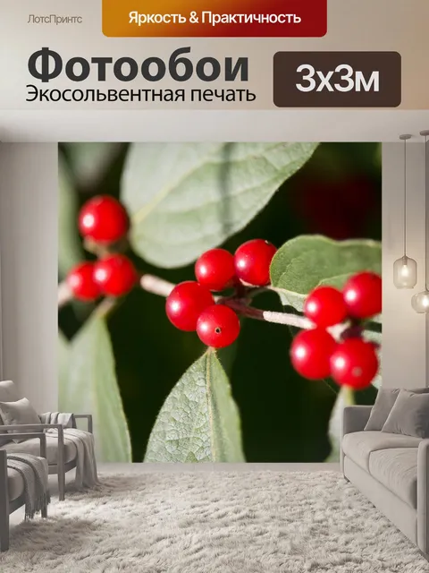 Фотообои Природа