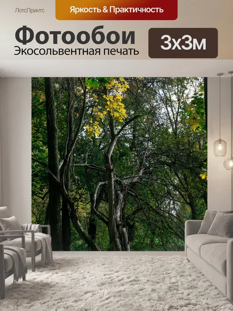 Фотообои Деревья