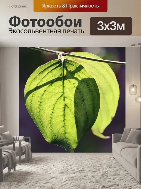 Фотообои Листья
