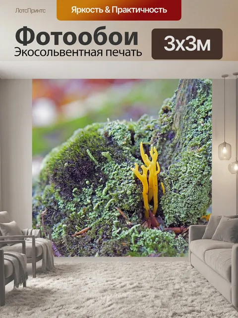 Фотообои Липкий рог