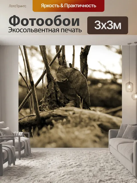 Фотообои Листья