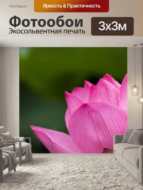 Фотообои Лотос Роза на зеленом фоне