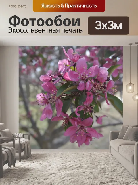 Фотообои Розовые цветы
