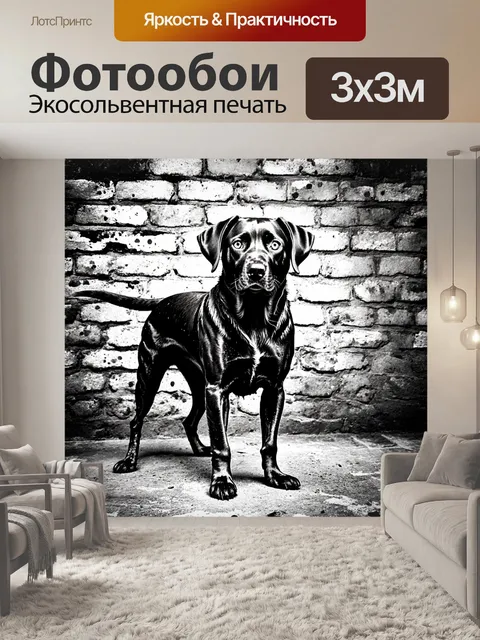 Фотообои лабрадор, с забрызганной грязью шерстью, стоящий на фоне старой кирпичной стены