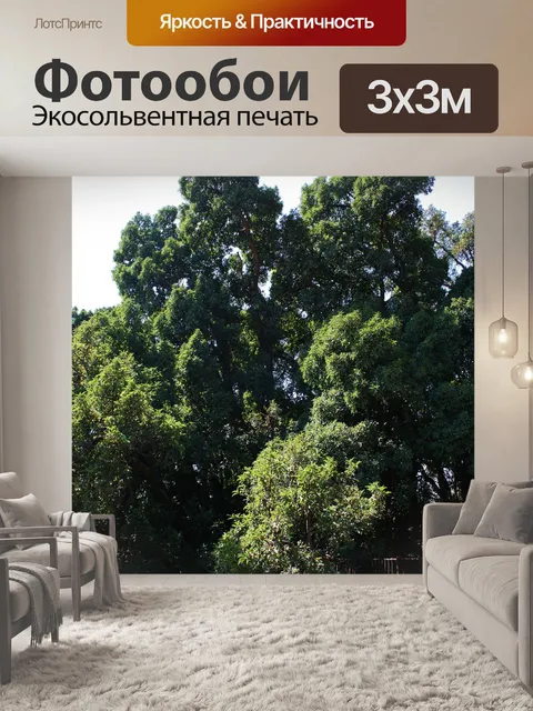 Фотообои густая листва на фикус салицифолия