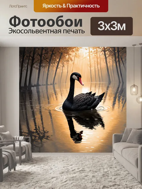 Фотообои спокойная сцена черного лебедя, плавающего в туманном лесном озере, отражающего утренние лучи солнца