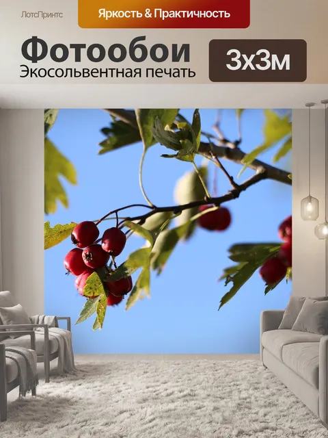 Фотообои Боярышник