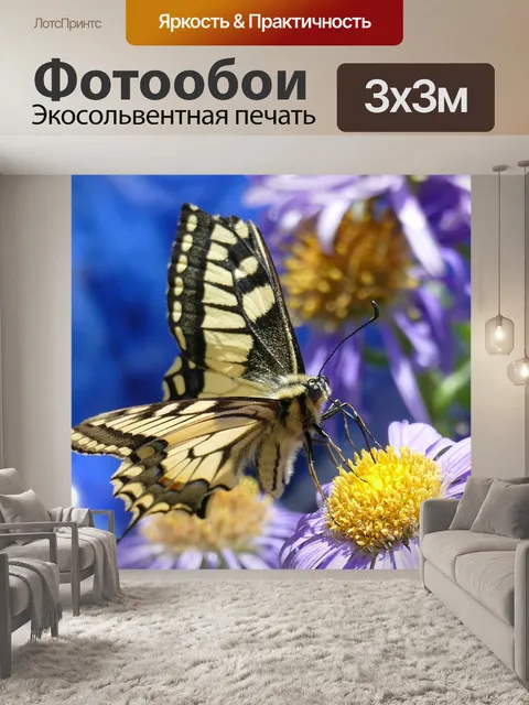 Фотообои Бабочка