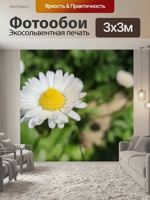 Фотообои Маргаритки