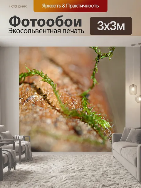 Фотообои Мох