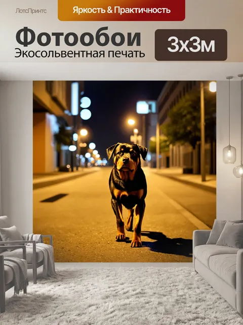 Фотообои ротвейлер на прогулке в городе ночью, освещённый уличными огнями