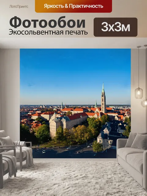 Фотообои с собором святого мартина на переднем плане