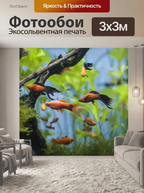 Фотообои Аквариум