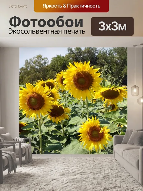 Фотообои Подсолнечное поле