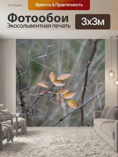 Фотообои Листья розы