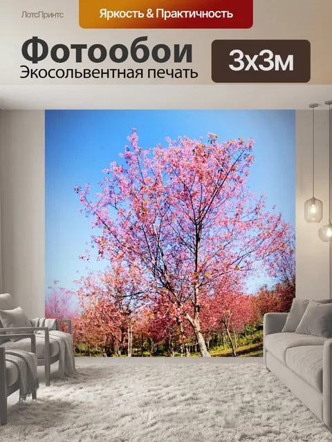 Фотообои Prunus cerasoides, дикая гималайская виш