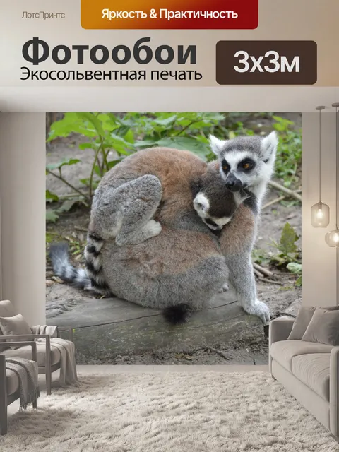 Фотообои Кольцо лемуров 8