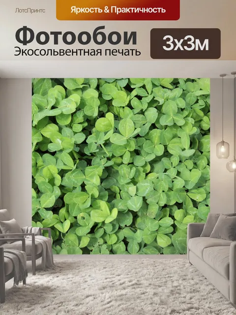 Фотообои Листья клевера