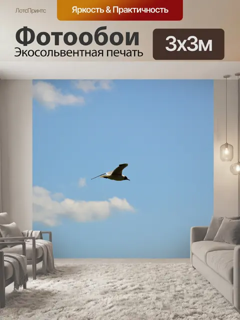 Фотообои Птицы