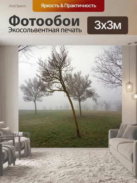 Фотообои Туман