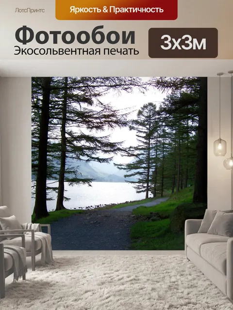 Фотообои Деревья и пути