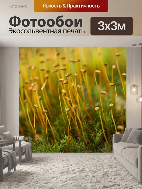 Фотообои Мох