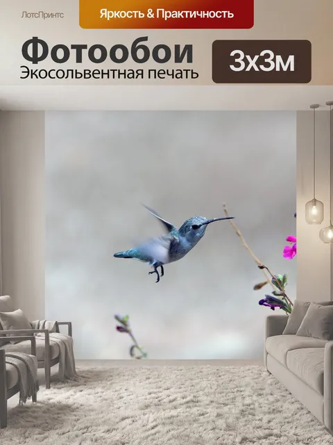 Фотообои Колибри