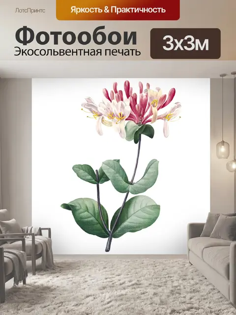 Фотообои Винтажная цветочная иллюстрация