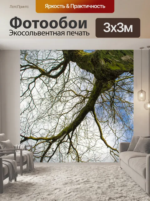 Фотообои Дерево без листьев