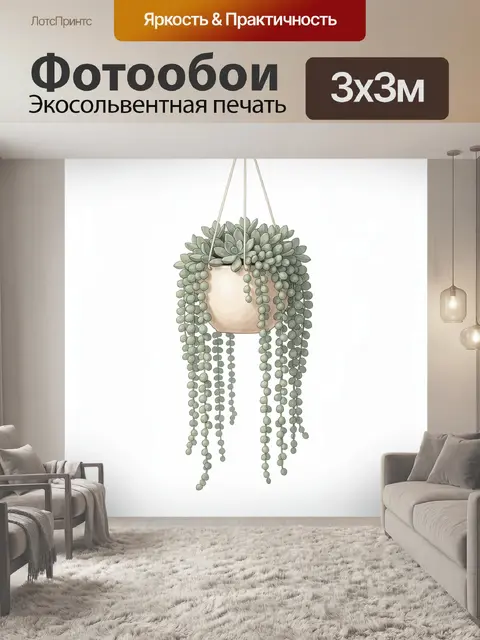 Фотообои Подвесное кашпо с суккулентом