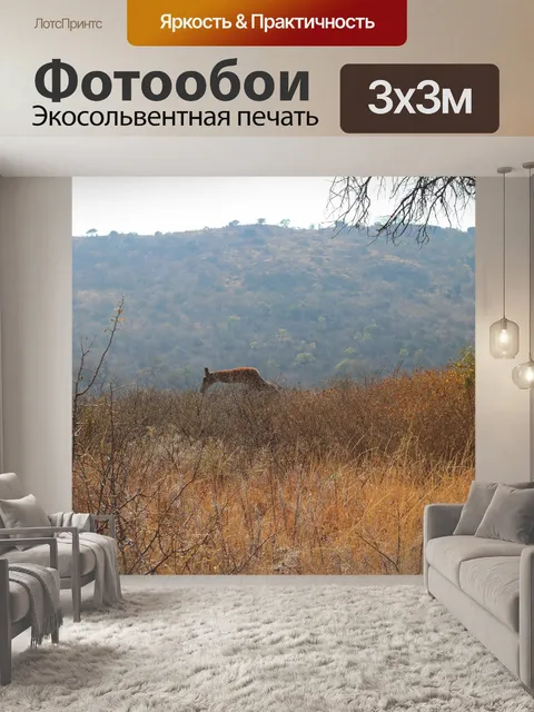 Фотообои жираф с согнутой шеей в кустах
